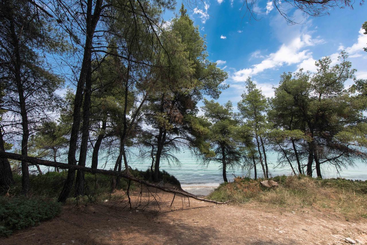#Luxlikehome - Kriopigi Pines By The Sea 외부 사진
